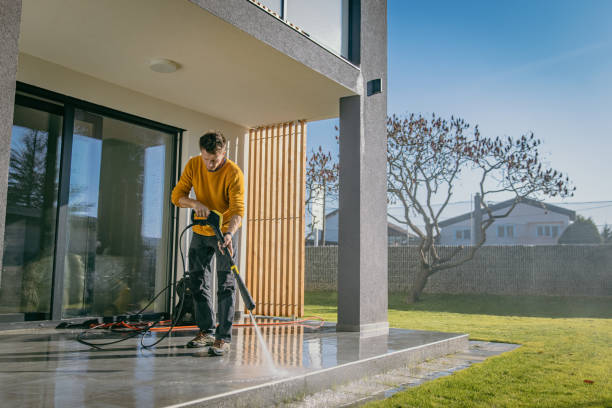 Best House Exterior Washing  in Viola, NY